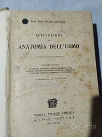 Libro anatomia umana 1940