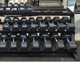 Coppia Manubri Professionale Gommato da 42,5 e 45