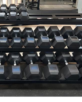 Coppia Manubri Professionale Gommato da 42,5 e 45