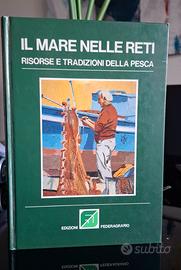 IL MARE NELLE RETI RISORSE TRADIZIONI DELLA PESCA