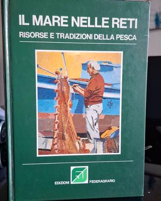 IL MARE NELLE RETI RISORSE TRADIZIONI DELLA PESCA