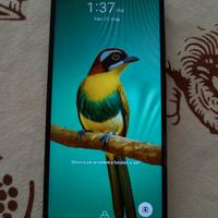 cellulare ZTE Blade A35e