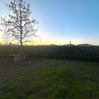 Mini con ampio giardino in centro