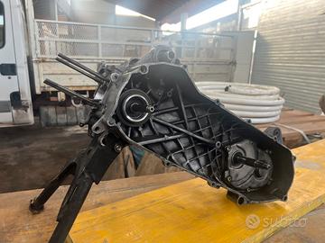 blocco con albero athena