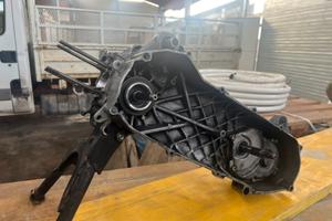 blocco con albero athena