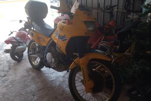 Honda dominator 650