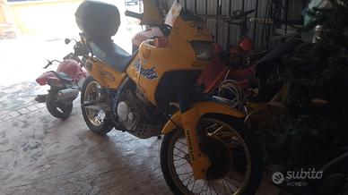 Honda dominator 650