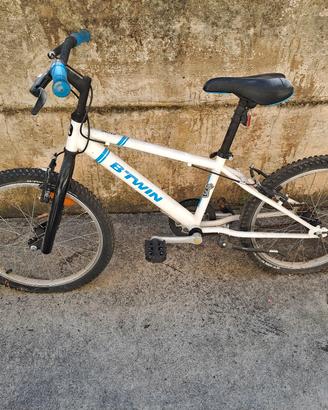 Bicicletta 20