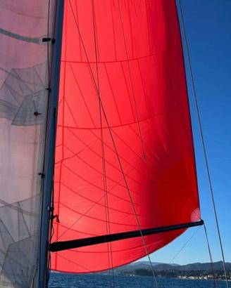 Spinnaker e tangone