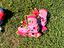 Immagine 3