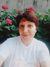 Assistenza Anziani e/o Dizabili a Padova