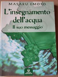 L'insegnamento dell'acqua. Il suo messaggio 