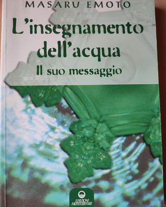 L'insegnamento dell'acqua. Il suo messaggio 