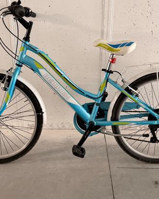 Bicicletta BEMMEX