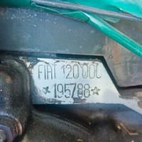 Motore a sogliola bianchina