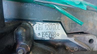 Motore a sogliola bianchina