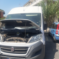 Motore ducato