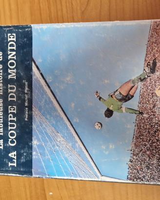 La fabuleuse Histoire de la coupe  du monde