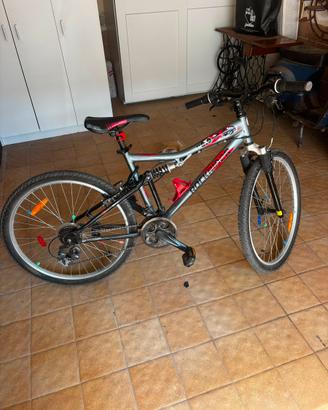Bicicletta ragazzo 26