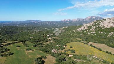 TER. AGRICOLO A OLBIA