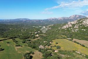 TER. AGRICOLO A OLBIA