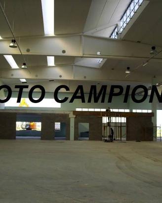 Immobile di 20298 m² a Lonigo