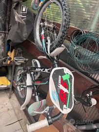 Bicicletta Bambino 4-6 anni