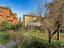 Immagine 25