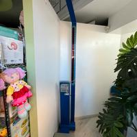 Bilancia pesapersone gettoniera