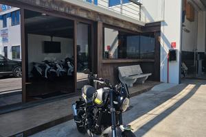 Benelli Leoncino 250 Pronta Consegna