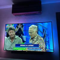 Televisore Philips Smart 65″ tv difetto colori