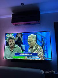 Televisore Philips Smart 65″ tv difetto colori