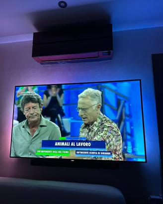 Televisore Philips Smart 65″ tv difetto colori