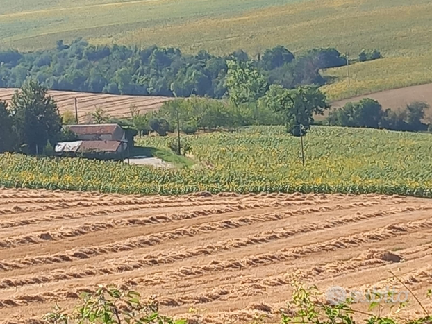 Terreno agricolo con capanna e fienile