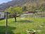 Immagine 29
