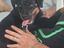 Immagine 3