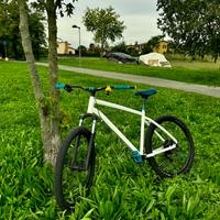 wheelie bike