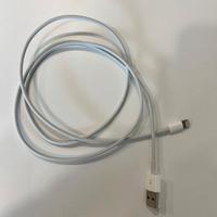 Cavo Apple da Lightning a USB