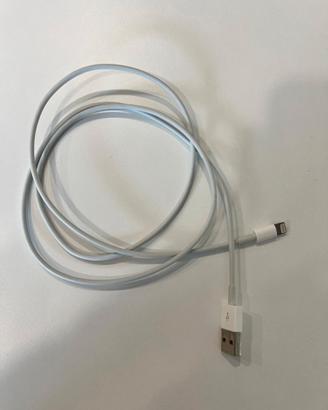 Cavo Apple da Lightning a USB