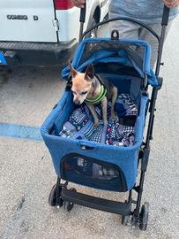 Passegino cane
