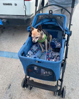 Passegino cane