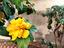 Immagine 27