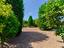 Immagine 29