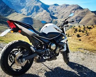 yamaha XJ6