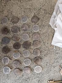 Lotto medaglie sportive