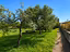 Immagine 17