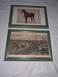 stampa equestre 