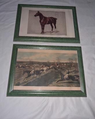 stampa equestre 