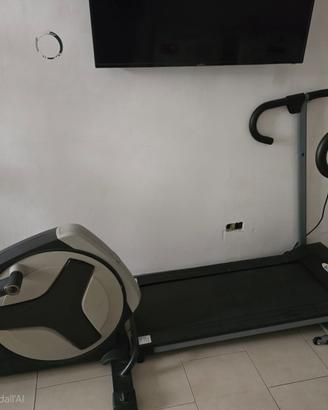 Palestra