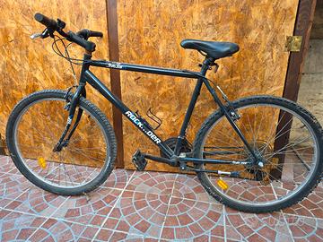MOUNTAIN BIKE, RICK RIDER